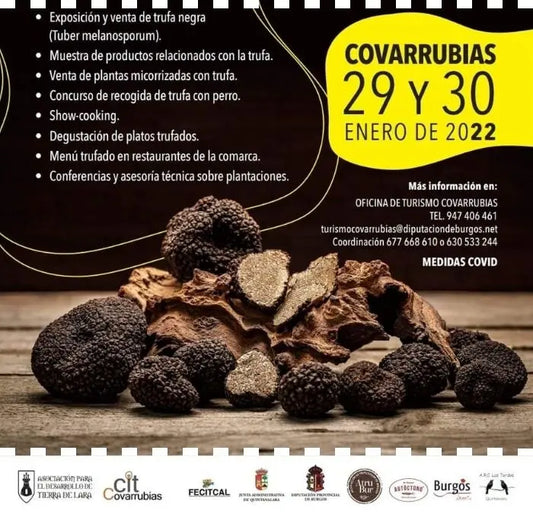 Feria de la Trufa Negra de Burgos Escapadas rurales La Costana